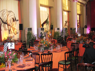 The Banqueting House in Whitehall, ‘dressed’ for a safari themed birthday party